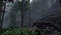 <br><br>Tom Ivens: <br>Forest Environment <br> in Cry Engine 3
